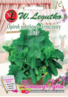 Nasiona Ogórek gruntowy sałatkowy Dar, krzaczasty
