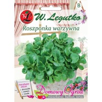 Nasiona Roszponka warzywna Verte de Cambrai, 2g