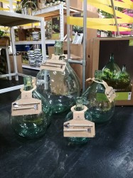 Las w słoiku, terrarium, las w szkle 35L