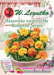 Nasiona Aksamitka Bonanza Series mieszanka, 0,5g