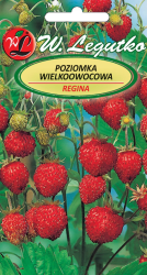 Nasiona Poziomka Wielkoowocowa Regina, owoce czerwone, duże 0,1g
