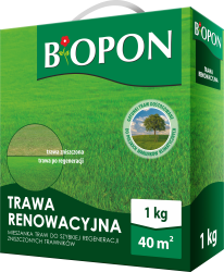 Bopon Trawa renowacyjna 1kg