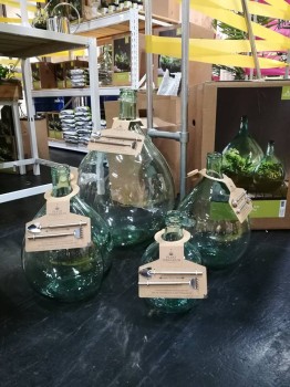 Terrarium, las w szkle