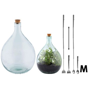 Terrarium, las w szkle