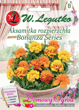 Domowy ogród aksamitka przód.png