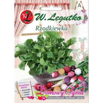 Rzodkiewka wszystkich typów przód.jpg