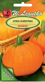 Nasiona Dynia olbrzymia Bambino, pomarańczowa