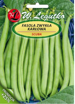 FASOLA SZPARAGOWA KARŁOWA ZIELONA SCUBA 50g