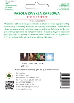Fasola Zwykła Karłowa-szparagowa Purple teepee