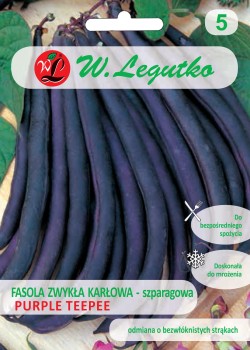 Fasola Zwykła Karłowa-szparagowa Purple teepee