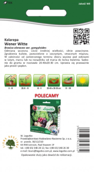 Kalarepa Wener Witte