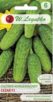 Ogórek gruntowy konserwowy Cezar F1