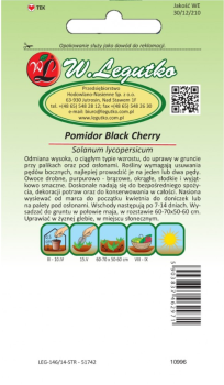 Pomidor wysoki - Black Cherry