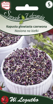 Nasiona na kiełki, kapusta głowiasta czerwona