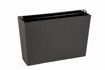 KWIETNIK WERBENA RATTAN graft metalik