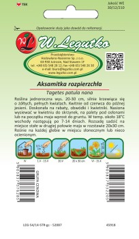 Aksamitka rozpierzchła żółta