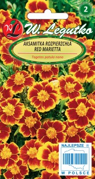 Aksamitka Red Marietta