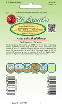 Aster chiński igiełkowy biały