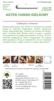 Aster chiński igiełkowy czerwony,