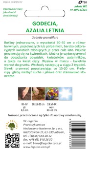 STR_Godecja,Azalia letnia mieszanka tył.jpg