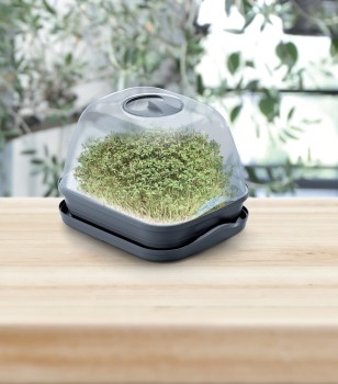 Respana_Table_Greenhouse_DREM260_aranz_04_m.jpg