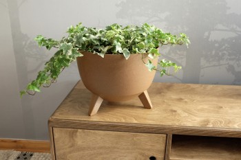Misa ROMA eco naturalne drewno nr 38_2.jpeg