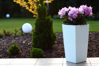 FINEZJA RATTAN biały nr 05.jpg