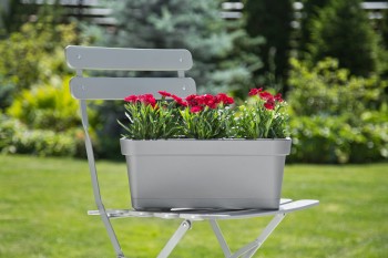 LOBELIA antracyt nr 82.jpg