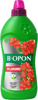 Pelargonie 1l - 5904517008113 - 04.11.22.png