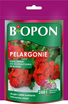 Koncentrat rozpuszczalny pelargonie - 5904517008465 - 07.02.23.png