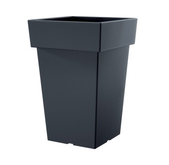 DLOFQ_S433.jpg