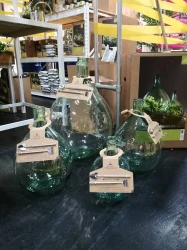 Las w słoiku, terrarium, las w szkle 15L