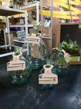 Terrarium, las w szkle