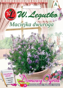 Domowy ogród maciejka przód.png