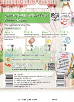 Domowy ogród cynia karłowa tył.png
