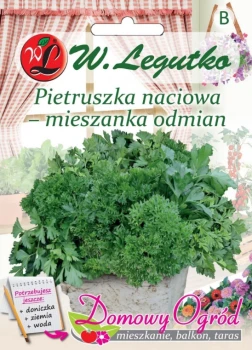Domowy ogród pietruszka przód.png