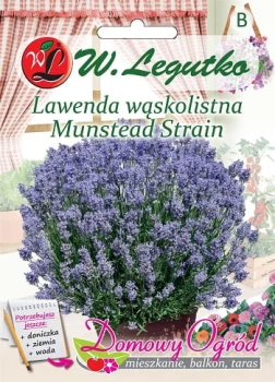 Lawenda_lekarska_Munstead_Strain_Legutko_przod.jpg