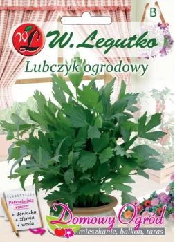 Domowy ogród lubczyk przód.png