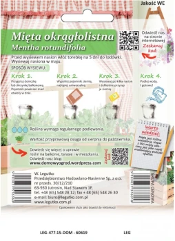 Domowy ogród mięta tył.png