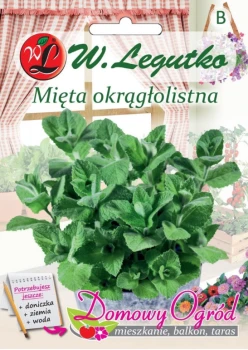 Domowy ogród mięta przód.png