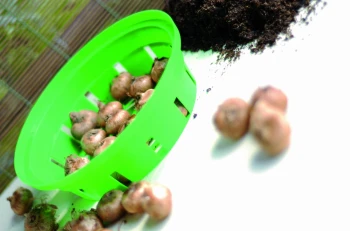 Koszyk na cebulki ONION 26,5 cm