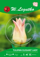 Tulipan Elegant Lady różowo-kremowy 5 szt.