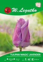 Tulipan Magic Lavender fioletowy 5 szt.