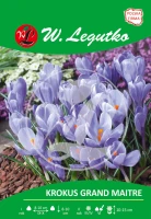 Krokus Grand Maitre lawendowoniebieski 7 szt.