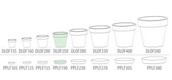 podstawki dlof(4).png