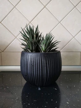 Doniczka kula Beton Bowl DKB150 z wkładem
