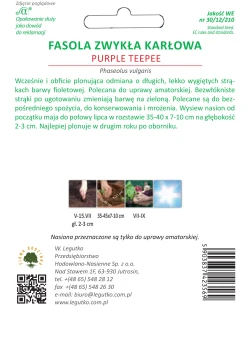 Fasola Zwykła Karłowa-szparagowa Purple teepee