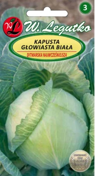Kapusta głowiasta biała Ditmarska Najwcześniejsza