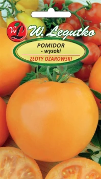 Pomidor gruntowy Złoty Ożarowski