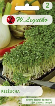 Rzeżucha Lepidium sativum